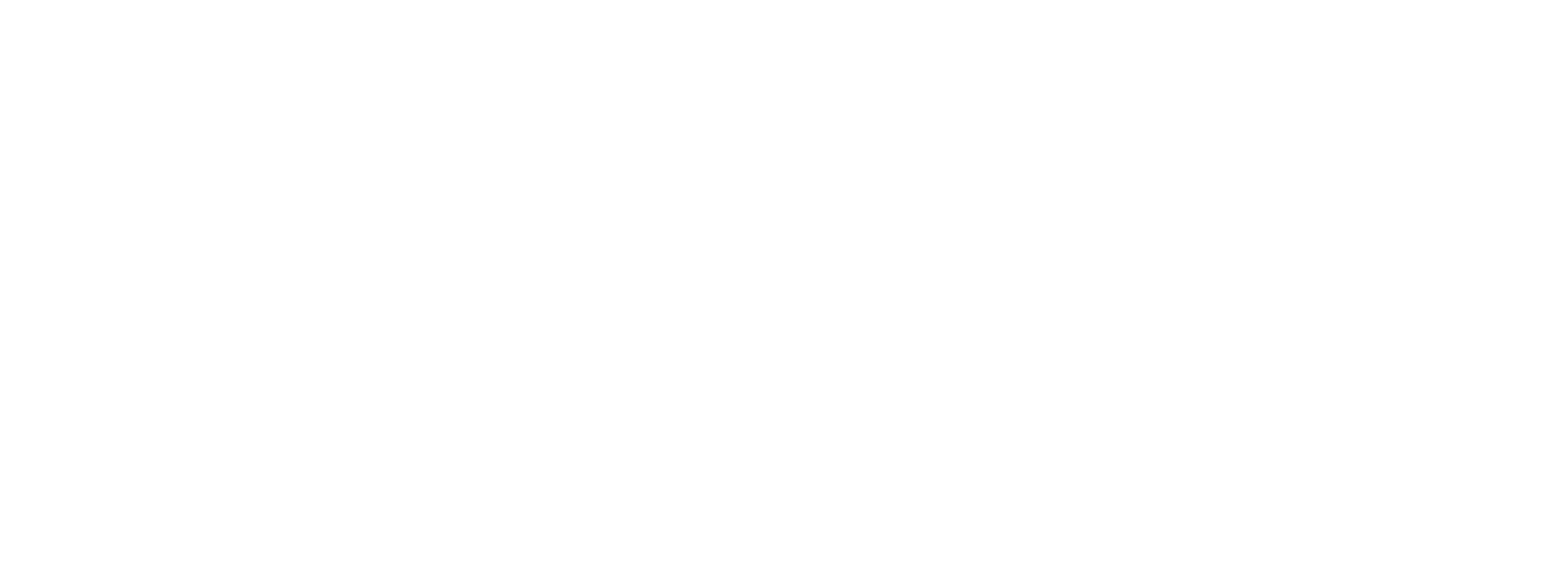 logo IP-Partners blanc